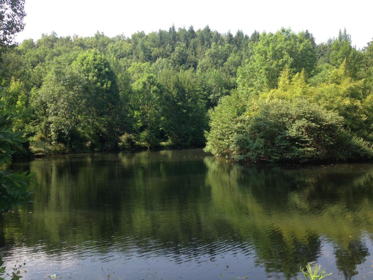 Domaine Du Moulin Panzió Mouzieys-Teulet Kültér fotó