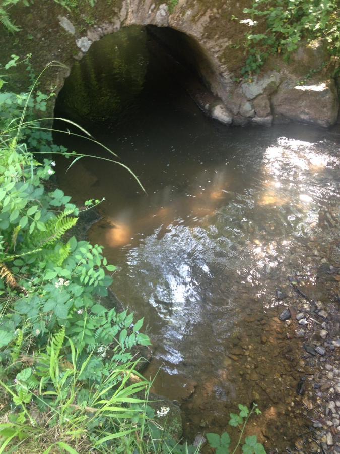 Domaine Du Moulin Panzió Mouzieys-Teulet Kültér fotó